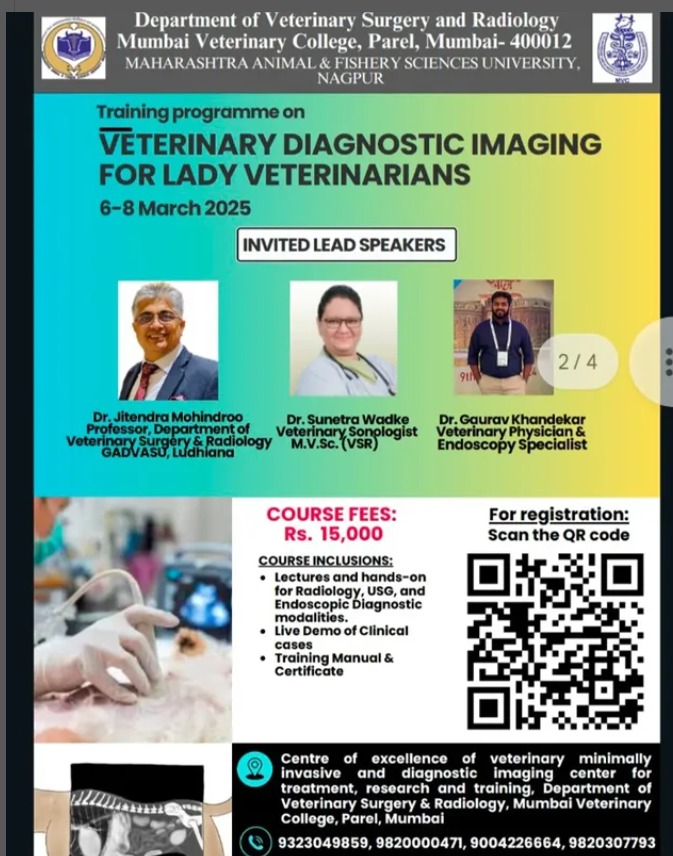Veterinary Diagnostics For Lady Veterinarians Flyer